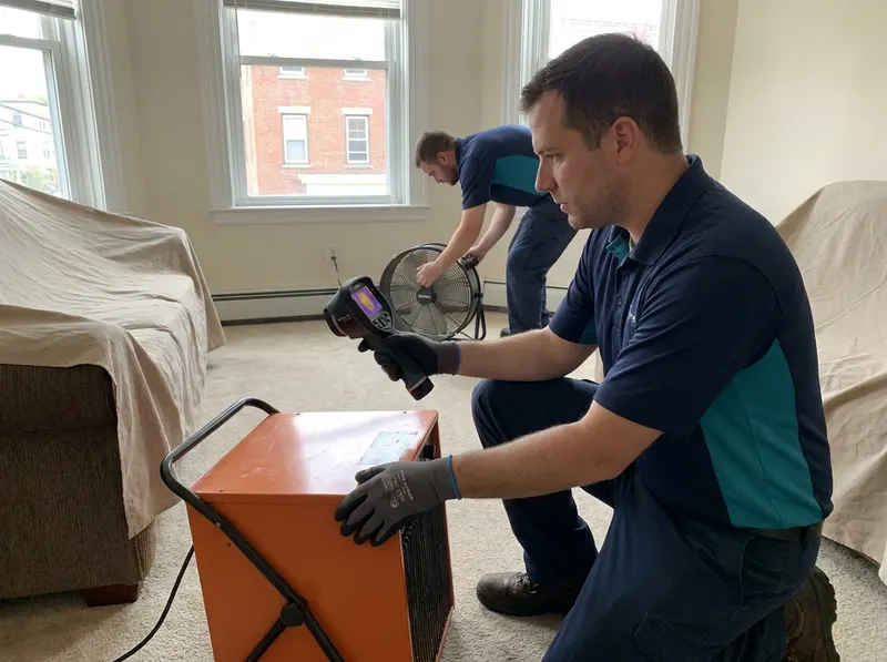 Thermal Bed Bug Eradication in Boston, MA